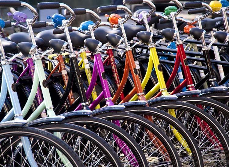 Row of bikes with colourful frames