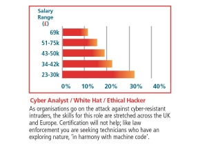 Cyber Analyst
